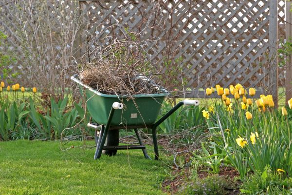 Flower Bed Cleanup Service in Saint Johns