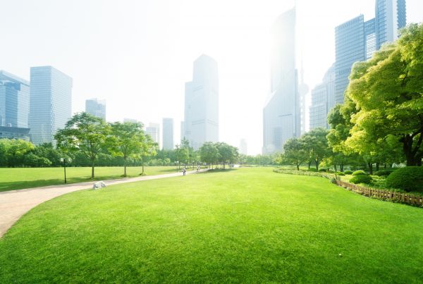 Commercial Landscape Maintenance in Saint Johns