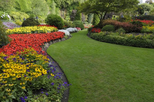Landscaping Maintenance in Saint Johns