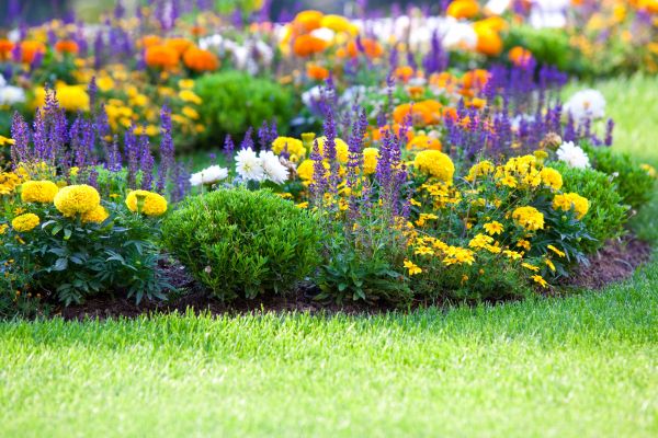 Garden Installation in Saint Johns
