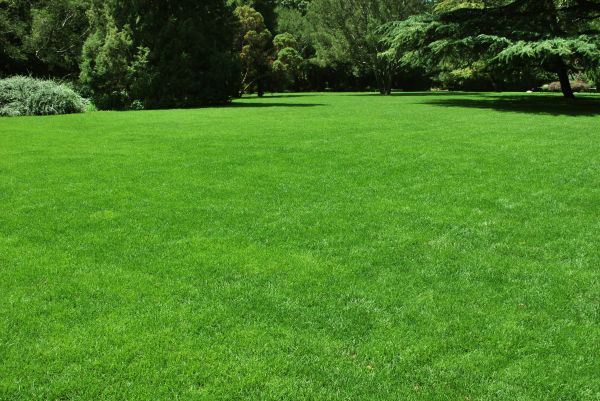 Lawn Landscaping in Saint Johns