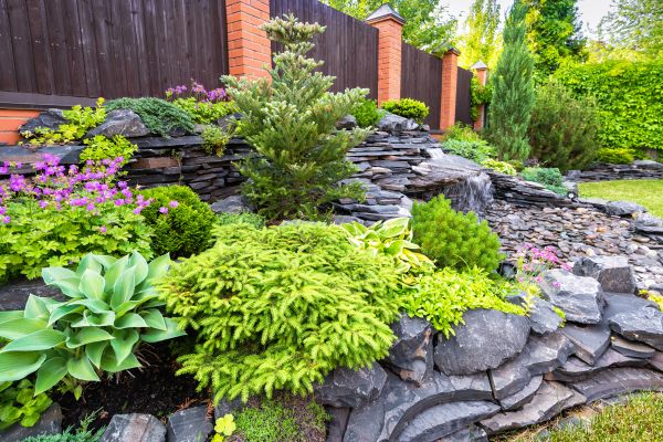 Landscape Remodeling in Saint Johns
