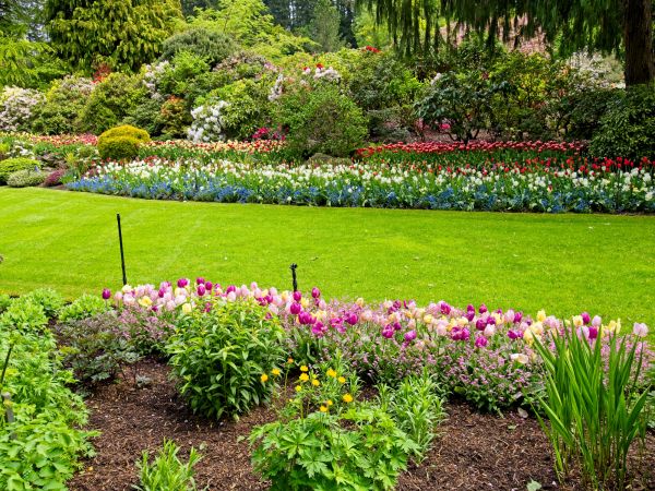 Residential Landscape Design in Saint Johns