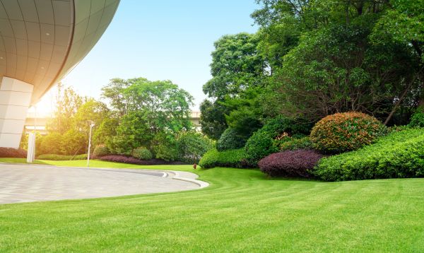 Business Landscape Design in Saint Johns