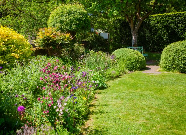 Yard Landscaping Service in Saint Johns