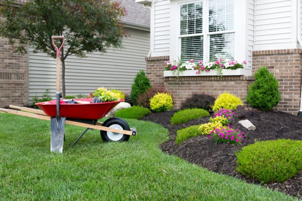 Tree And Shrub Planting in Saint Johns