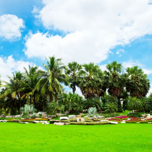 Tropical Landscaping in Saint Johns
