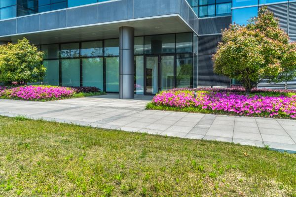 Commercial Gardening in Saint Johns