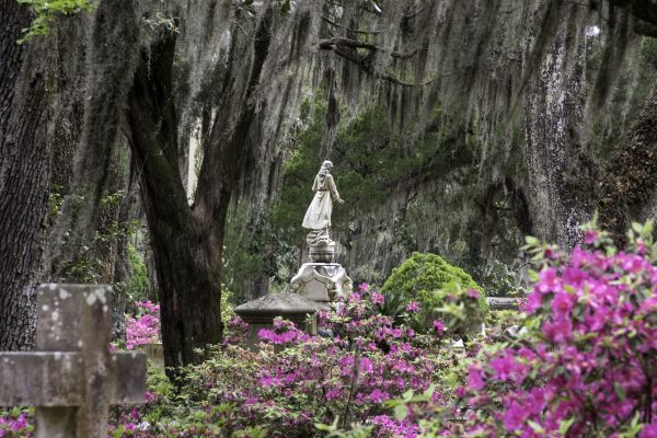 Cemetery Landscaping in Saint Johns