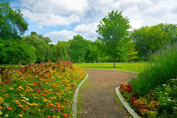 Park Landscaping in Saint Johns