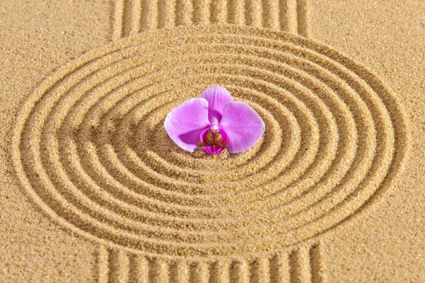Sand Garden Landscaping in Saint Johns