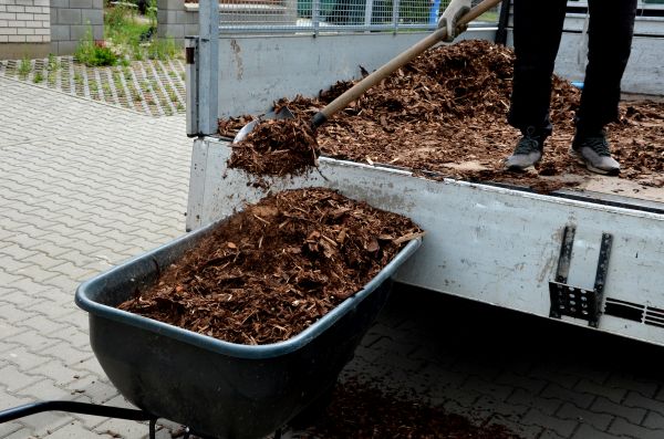 Cypress Mulch Delivery in Saint Johns