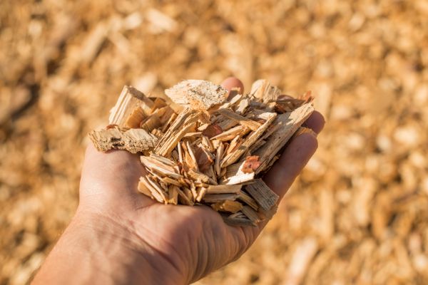 Wood Chips Spreading in Saint Johns