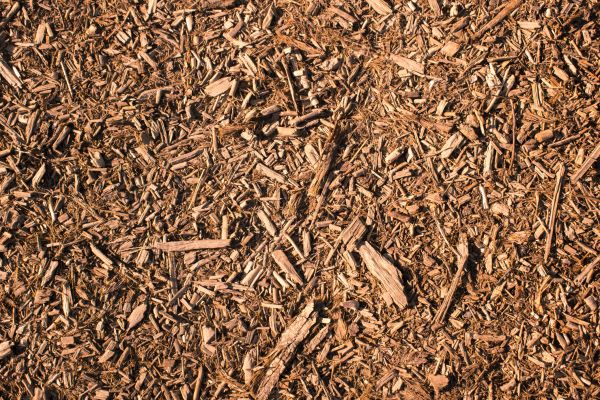 Wood Chips Removal in Saint Johns