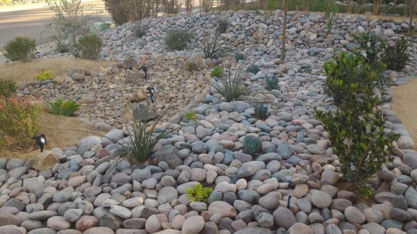 Yard Xeriscaping in Saint Johns