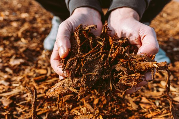 Bark Chips Delivery in Saint Johns