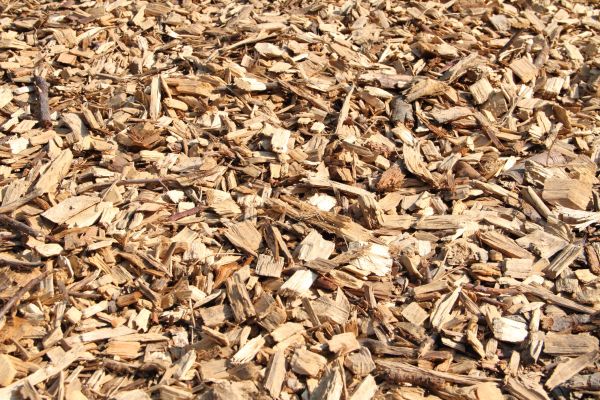Wood Mulch Delivery in Saint Johns