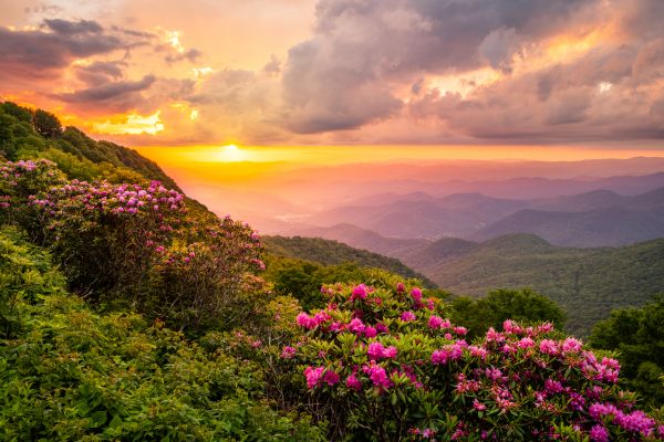 Hill Landscaping in Saint Johns