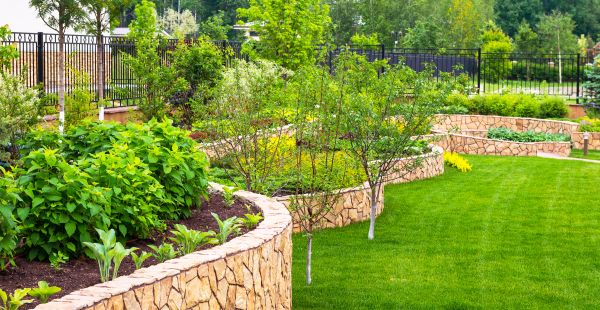 Yard Makeover Service in Saint Johns