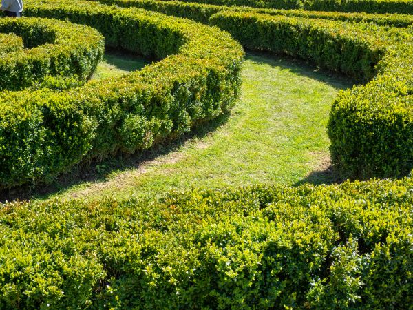 Bush Landscaping in Saint Johns