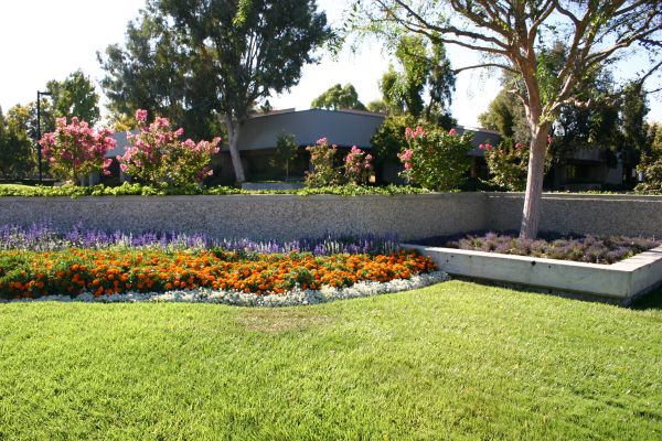Commercial Landscape Service in Saint Johns
