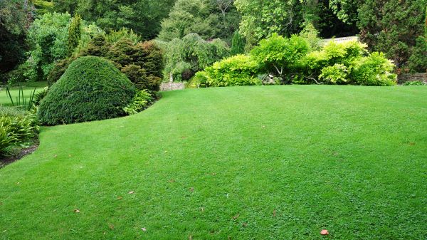 Commercial Landscape Design in Saint Johns