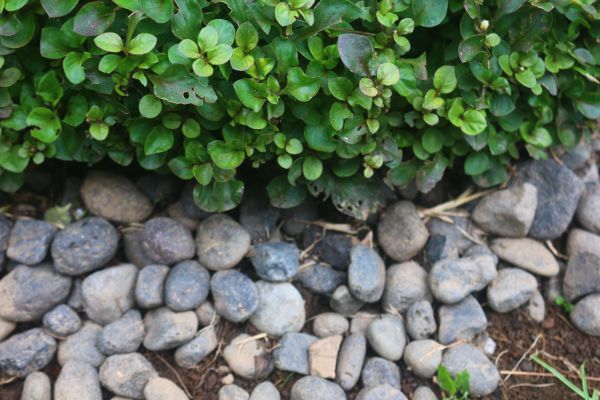 River Stone Installation in Saint Johns