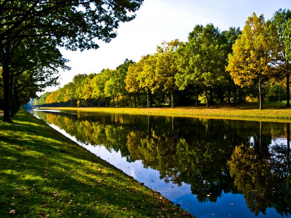Bank Landscaping in Saint Johns
