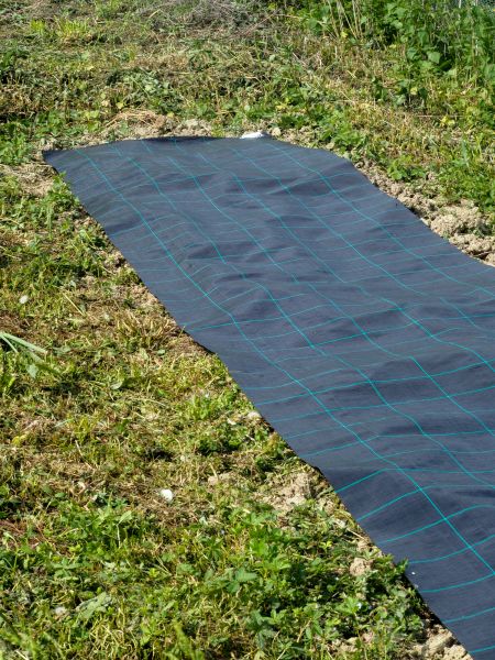 Weed Suppressant Installation in Saint Johns