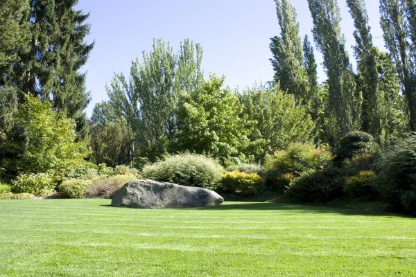 Yard Enlargement in Saint Johns