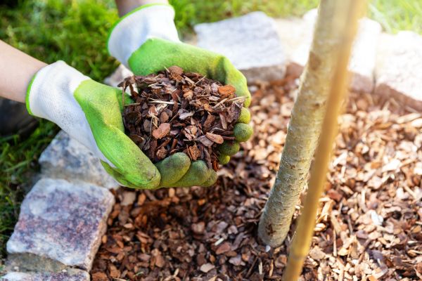 Tree Bark Delivery in Saint Johns