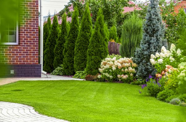 Spring Landscaping in Saint Johns