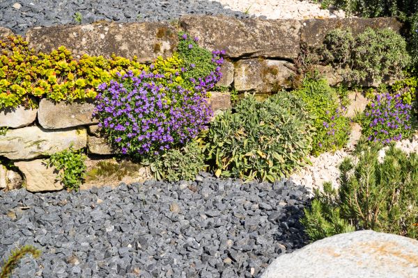 Landscaping Rocks Installation in Saint Johns