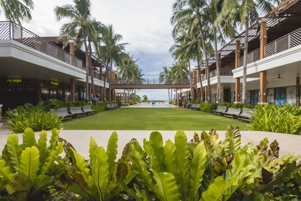Commercial Lawn Renovation in Saint Johns