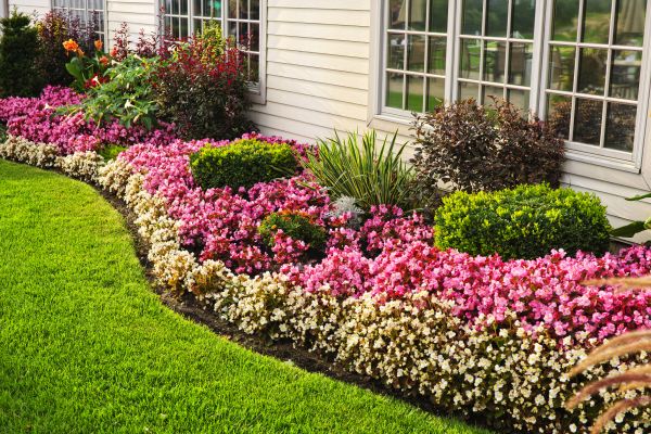 Garden Landscape Design in Saint Johns