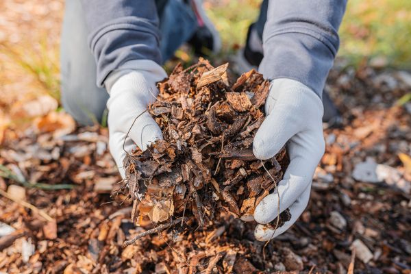Shredded Mulch Installation in Saint Johns