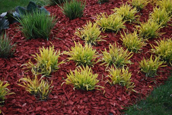 Red Mulch Installation in Saint Johns