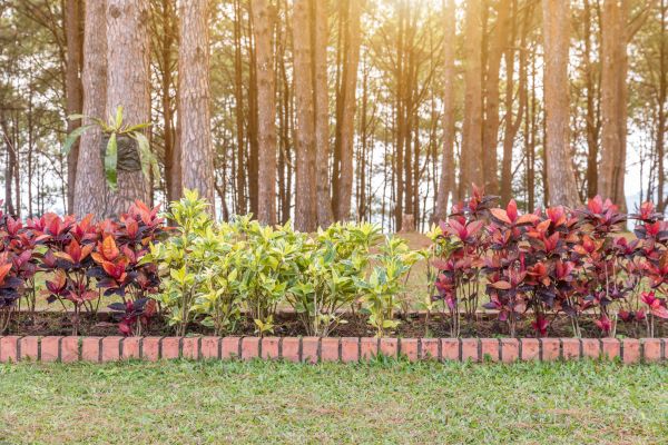 Small Garden Landscaping in Saint Johns