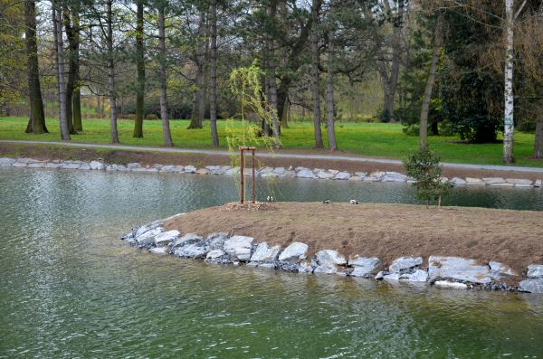 Pond Landscaping Service in Saint Johns
