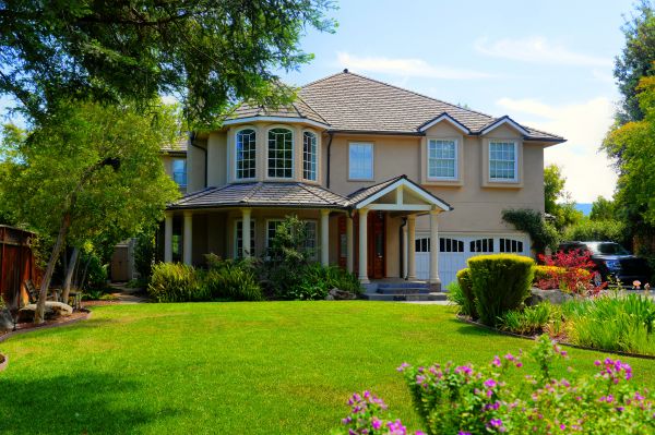 Large Yard Landscaping in Saint Johns