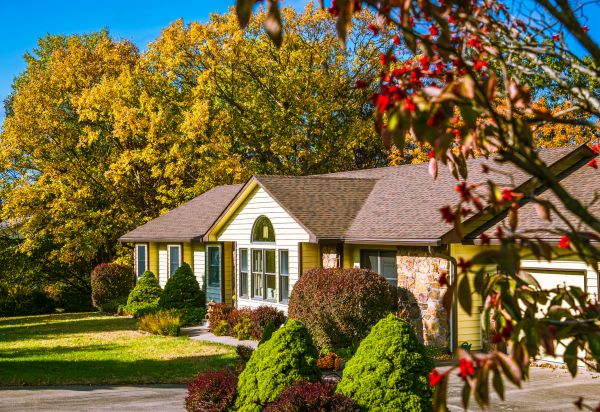 Ranch Landscaping in Saint Johns