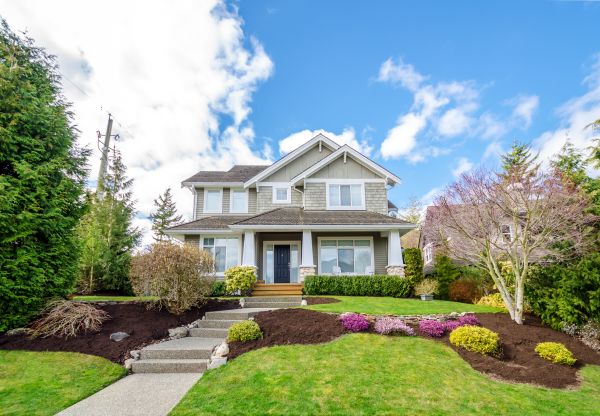 Landscaping Replacement in Saint Johns