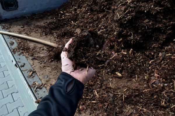 Condo Mulching in Saint Johns