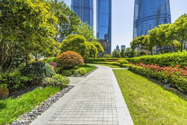 Commercial Landscaping in Saint Johns