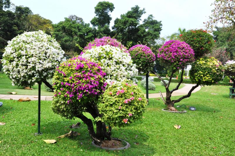 Flower Landscaping
