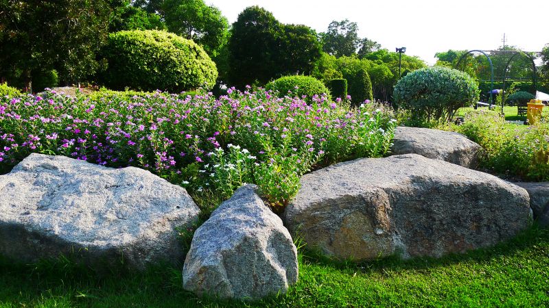 Rock Landscape Design